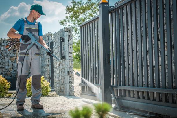 Best Solar Panel Cleaning  in Wills Point, TX