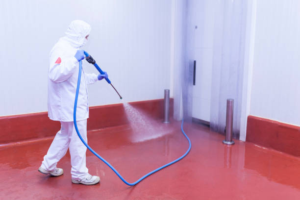 Trusted Wills Point, TX Pressure Washing Experts