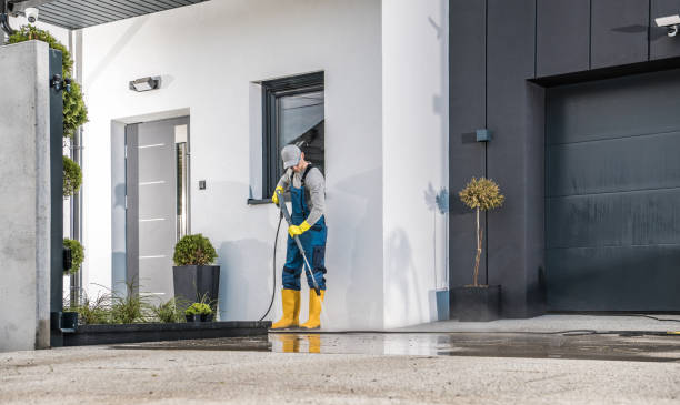 Boat and Dock Cleaning in Wills Point, TX